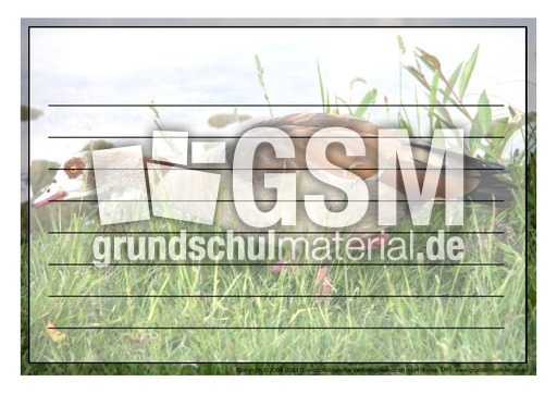 Schmuckrahmen-Nilgans-1.pdf